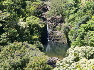 Fototapeta na wymiar Waterfall in the forest, mountain.