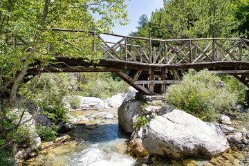 Brücke über einem kleinen Fluss im Wald 