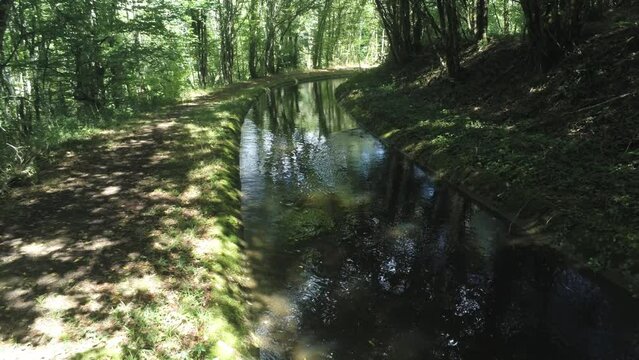 Rivière dans la forêt en Bourgogne