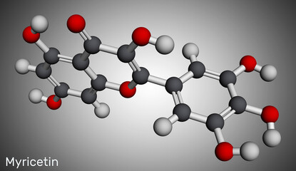 Myricetin molecule. It is natural product, flavonoid. Molecular model. 3D rendering