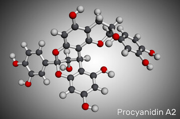 Procyanidin A2, proanthocyanidin A2 molecule. It is natural product, used in urinary tract infection prevention. Molecular model. 3D rendering