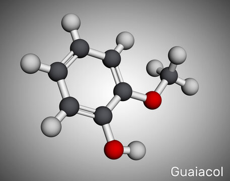 Guaiacol molecule. It is expectorant, disinfectant, plant metabolite. Present in wood smoke. Molecular model. 3D rendering