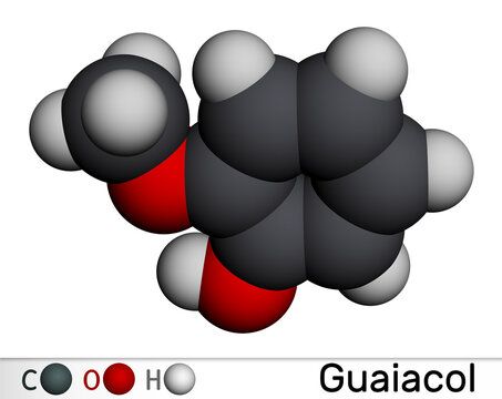 Guaiacol molecule. It is expectorant, disinfectant, plant metabolite. Present in wood smoke. Molecular model. 3D rendering