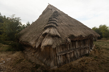 Obraz na płótnie Canvas thatched roof house