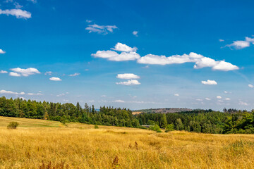 Sommerwanderung entlang des Rennsteigs bei zwischen Brotterode und Eisenach bei schönstem...