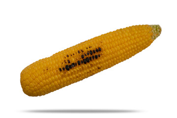 Grilled corn isolated on white background