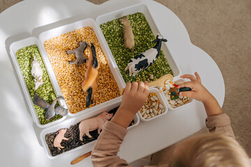 A little girl playing with farm animals in sensory bin in nursery. Educational game. Learning...