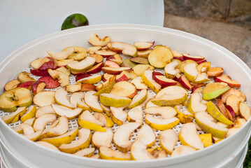 Preparing food stock from sliced pears and apples into thin pieces in a dryer outdoors during the day