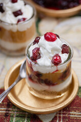 Christmas pumpkin and cramberry mousse served in individual glasses