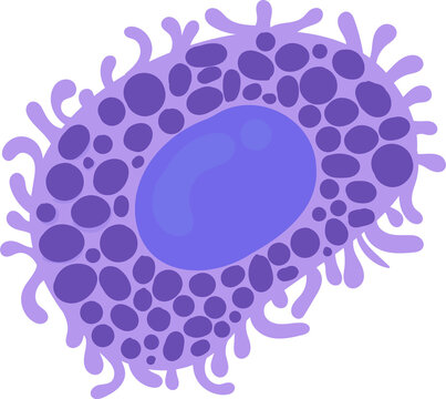 Mast cell, tissue cell of the immune system.