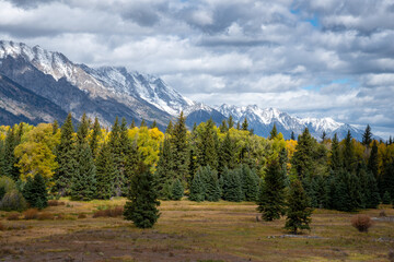 Scenic view of the Grand Teton National Park