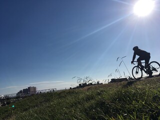 Fototapeta na wymiar 東京, 江戸川, 日本, 自転車, サイクリングロード