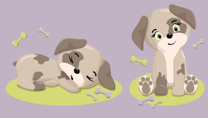 Cute puppy. Funny illustration of a dog. Dog's Baby set