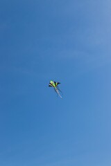 Obraz na płótnie Canvas kite flying in the sky