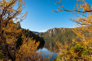 Dove Lake view through 