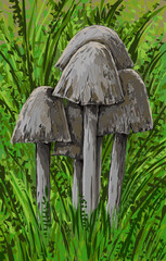 mushroom - digital painting  - obrazy, fototapety, plakaty