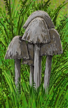 mushroom - digital painting 