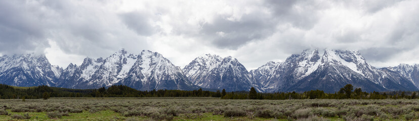 Fototapeta premium Trees, Land and Mountains in American Landscape. Spring Season. Grand Teton National Park. Wyoming, United States. Nature Background Panorama