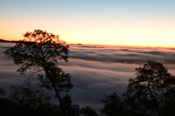 Naklejka premium dawn over clouds
