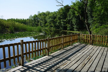 Aussichtsplattform mit Geländer in grüner Auenlandschaft im Sommer vor blauem Himmel im...