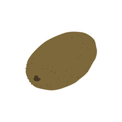 Illustration of a whole kiwi and kiwi slices. Vector drawing of fruit for design