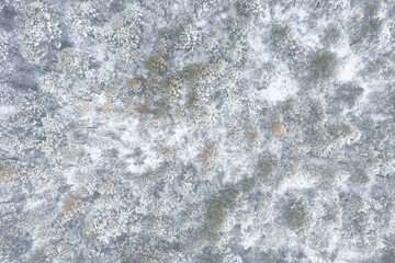 View from the drone on snow-covered fir trees, the car in the forest field. Beautiful winter snow landscape