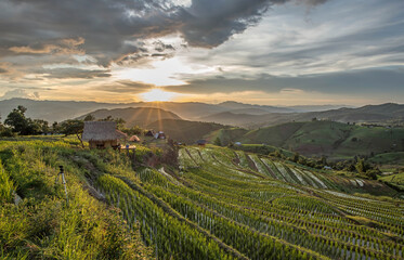 Obraz premium terraced rice fields on the mountain in Thailand