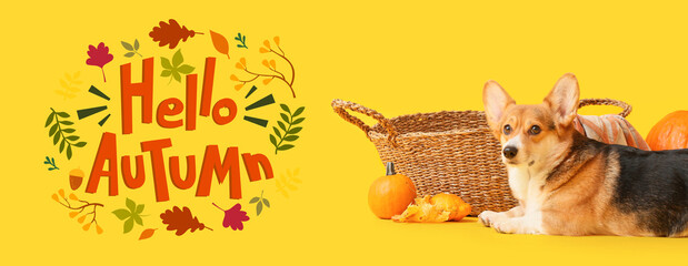 Cute dog, wicker basket and pumpkins on yellow background. Hello, autumn © Pixel-Shot