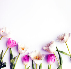 summer floral background with beautiful flowers