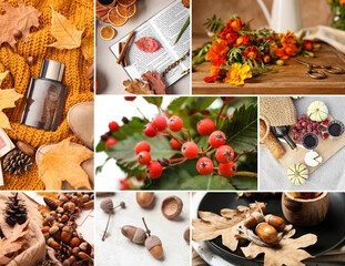 Cozy autumn collage with floral decor