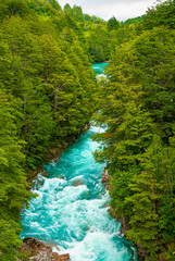 Blue mountain river in the forest