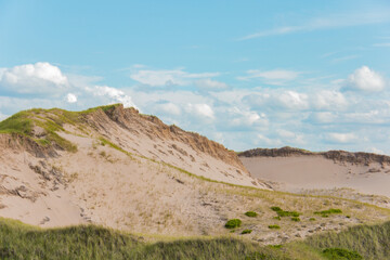 Fototapeta na wymiar Dunes on the east coast