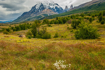 Fototapeta na wymiar Patagonia landscape in summer