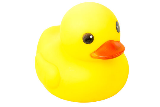 bath Yellow Rubber Duck  on isolate background