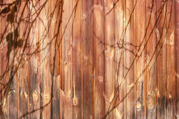 Shadows of the tree branches on the old wooden wall as a background