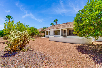 desert backyard © Allison