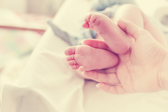 photo with newborn foot in pastel color