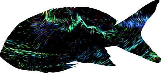 Cute Pattern Fish and Dolphins