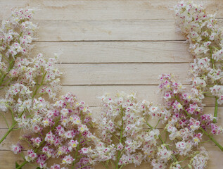 Summer or spring flower background