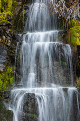 clear cascading waters in the lush green forest on the lower part of Mt. Rainier National park in Washington State.