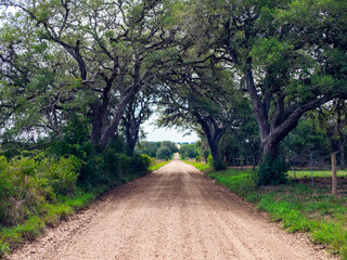Unpaved county road in Texas