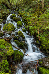 clear cascading waters in the lush green forest on the lower part of Mt. Rainier National park in Washington State.