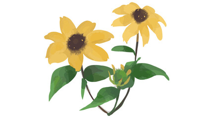 yellow flowers isolated on white background