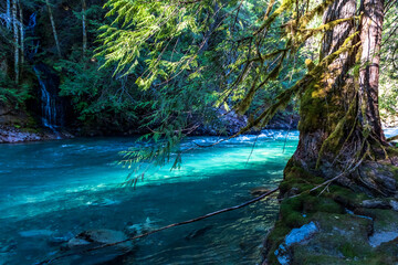 clear turquoise water in Ruby Creek trail in North cascade national park in Washington state during summer