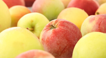 apples close-up with beautiful defocus for background
