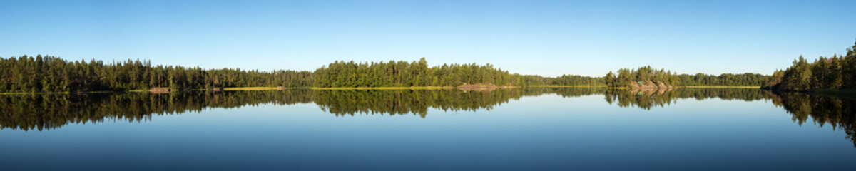 Fototapeta na wymiar forest lake on a summer sunny day