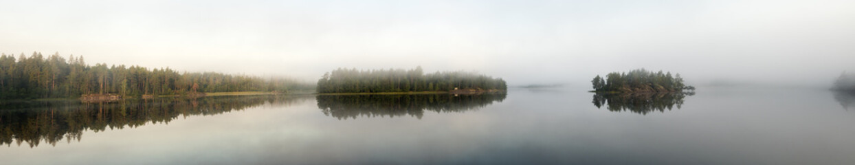 Fototapeta na wymiar forest lake in summer with morning mist