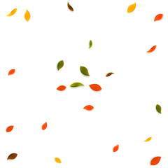 Falling autumn leaves. Red, yellow, green, brown r