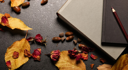 beautiful autumn background with yellow and burgundy leaves and empty space for text