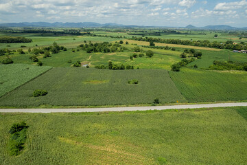 high angle view of farm, grow plants, nice landscape